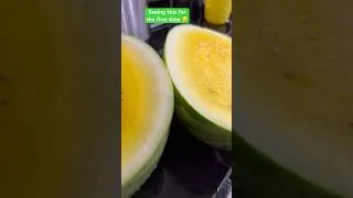 Thumbnail: Is this common? Just seeing this for the first time  #fypシ  #watermelon  #yellowwatermelon