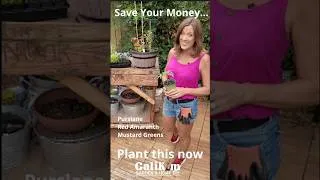 Thumbnail: Plant These 3 in July