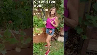 Thumbnail: If you have ONE little spot available? You’ve got enough.