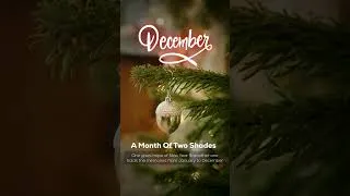 Thumbnail: December♥️ A Month of Two Shades #december2024