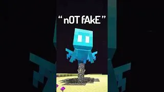 Thumbnail: I Caught The STUPIDEST Fake Minecraft Speedrun...
