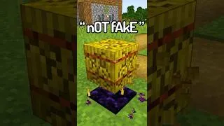 Thumbnail: I Caught The STUPIDEST Fake Minecraft Speedrun
