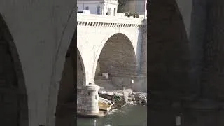 Thumbnail: Il a balancé un chat… Alors on l’a balancé du pont !