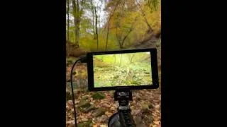 Thumbnail: Relaxing Fire and Water Sounds #naturesounds #campfiresounds