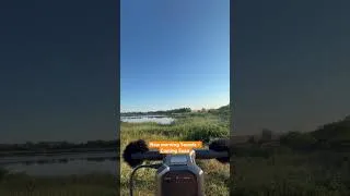 Thumbnail: New Morninig Background Bird  Sounds #naturesounds #relax