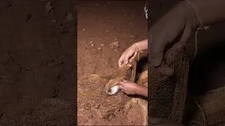 Thumbnail: Wild रात में Fishing का मज़ा!
