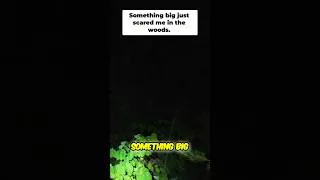 Thumbnail: BIG NOISE in the WOODS - What Was That?! #StealthCamping #Campinwithchampion