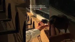 Thumbnail: Someone waits for you every single day just for food ❤️