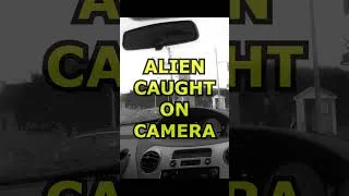 Thumbnail: Alien Caught on Camera at a Red Light! 👽😂