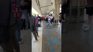 Thumbnail: Ennesima mattinata di passione sulla Roma-Lido: attese di un'ora sulle banchine