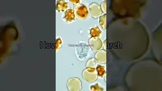 Thumbnail: I love cancer research 🥺