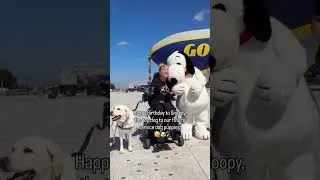 Thumbnail: Happy Birthday, Snoopy! | Canine Companions #shorts #shortsfeed #puppy #snoopy