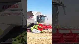 Thumbnail: claas lexion 8800 tt #shorts