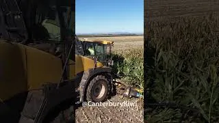 Thumbnail: New Holland Chopping Silage #shorts