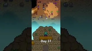 Thumbnail: 100% Perfection in 115 Days - Day 37