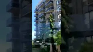 Thumbnail: Across Eglinton