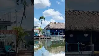 Thumbnail: Navigating Bonita Springs Creeks to The Fish House #swflboating