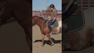 Thumbnail: Something Every New Rider Struggles With