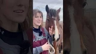 Thumbnail: Why People Get Kicked in the Pasture