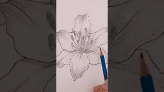 Thumbnail: How to Draw a Spring Flower for Beginners