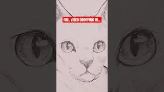 Thumbnail: Drawing a Russian Blue Cat #shorts