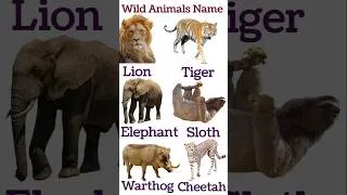 Thumbnail: Wild Animals Name 🦁 | Wild Animals Names in English | Animals Name #shorts
