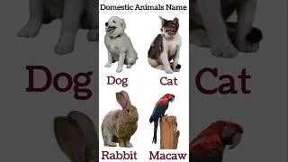 Thumbnail: Domestic Animals Name 🐄🐐 | Farm Animals Names for Kids | Animals Name #shorts