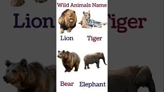 Thumbnail: Wild Animals Name 🦁🐯 | Wild Animals Names in English | Animals Name for Kids #shorts