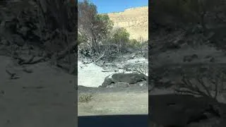 Thumbnail: 2020 Rapid Creek Brushfire