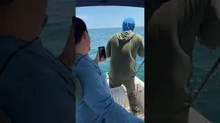 Thumbnail: Next on my channel.. is this a tiger shark or a bull shark? #shark #jaws #tigershark