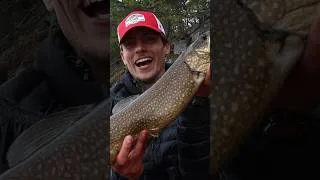 Thumbnail: First Lake Trout while Canoe Camping #camping#fishing#trout