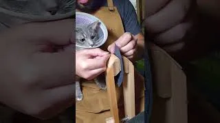 Thumbnail: 10 Ancient Facts About Leather Craft History! | Making a Bifold Wallet