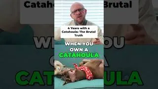 Thumbnail: Brutal Catahoula reality check #shorts #dogtruth