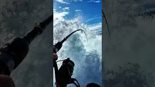 Thumbnail: What fish do you think this is?        #fishing #adventure #beachlife #fish #beach