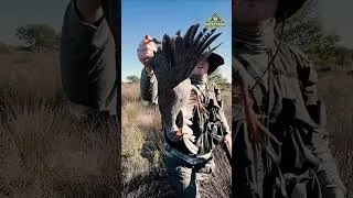 Thumbnail: This West Coast Bird Hunt got WILD! 🦆 #shorts #catchcook #birdhunting  #outdoors #southafrica