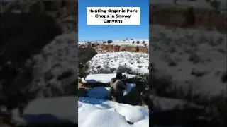 Thumbnail: PISTOL PIG HUNT in Arizona Snow ❄️ #shorts #hunting