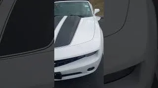 Thumbnail: Car Reveal Too Much Muscle