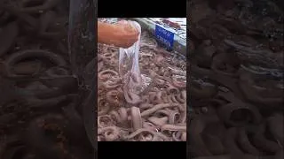 Thumbnail: Extreme Seafood! Bizarre Eyeless Eel Cooking_極限海鮮!怪異的無眼鰻魚料理 #seafood #eel
