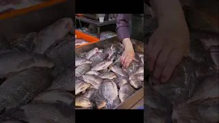 Thumbnail: 10000 kg Tilapia Harvested, Salt-baked Fish/神秘藍眼淚！10000斤吳郭魚養殖捕撈, 鹽烤魚 #seafood #grilled_fish