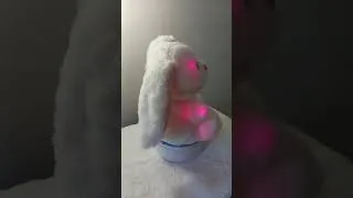 Thumbnail: Light Up Bunny - Can be Customized