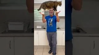 Thumbnail: AMAZING CAT TRICK! Trick & Behaviour Fixing Tutorials on Patreon #Cats #patreon #cute #foryou