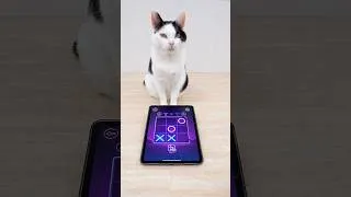 Thumbnail: Cat and TIC TAC TOE