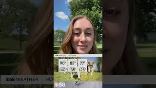 Thumbnail: National Dog Day forecast