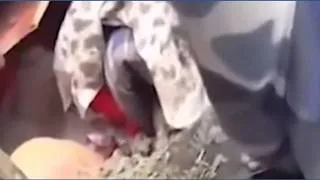 Thumbnail: Young girl rescued from rubble in Nepal