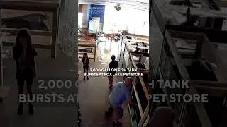 Thumbnail: Fish tank spontaneously explodes at Fox Lake, Illinois pet shop