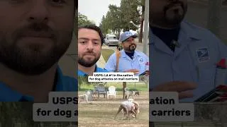 Thumbnail: LA ranks #1 in dog attacks on mail carriers