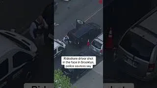 Thumbnail: Rideshare driver shot in the face in Brooklyn, police sources say