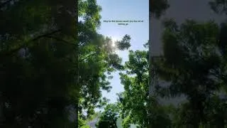 Thumbnail: "letting go"... #shorts #youtubeshorts #nature #peace #lifelesson # #subscribe #like