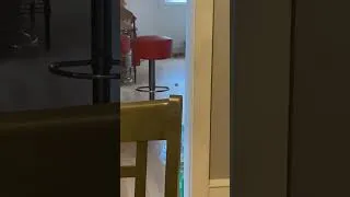 Thumbnail: Sneaky Little Mouse! 《Read Desc》