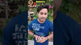 Thumbnail: OMG 😱 GLOVIA Cream To Sab Ka Baap Nikla 👌🏻😱✨💫 #shorts #shortvideo #shortsfeed #celebrity7star